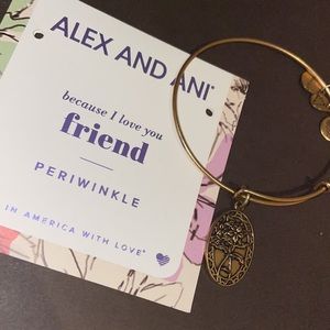 Alex and Ani bracelet